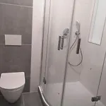 Don 4* Тршебич